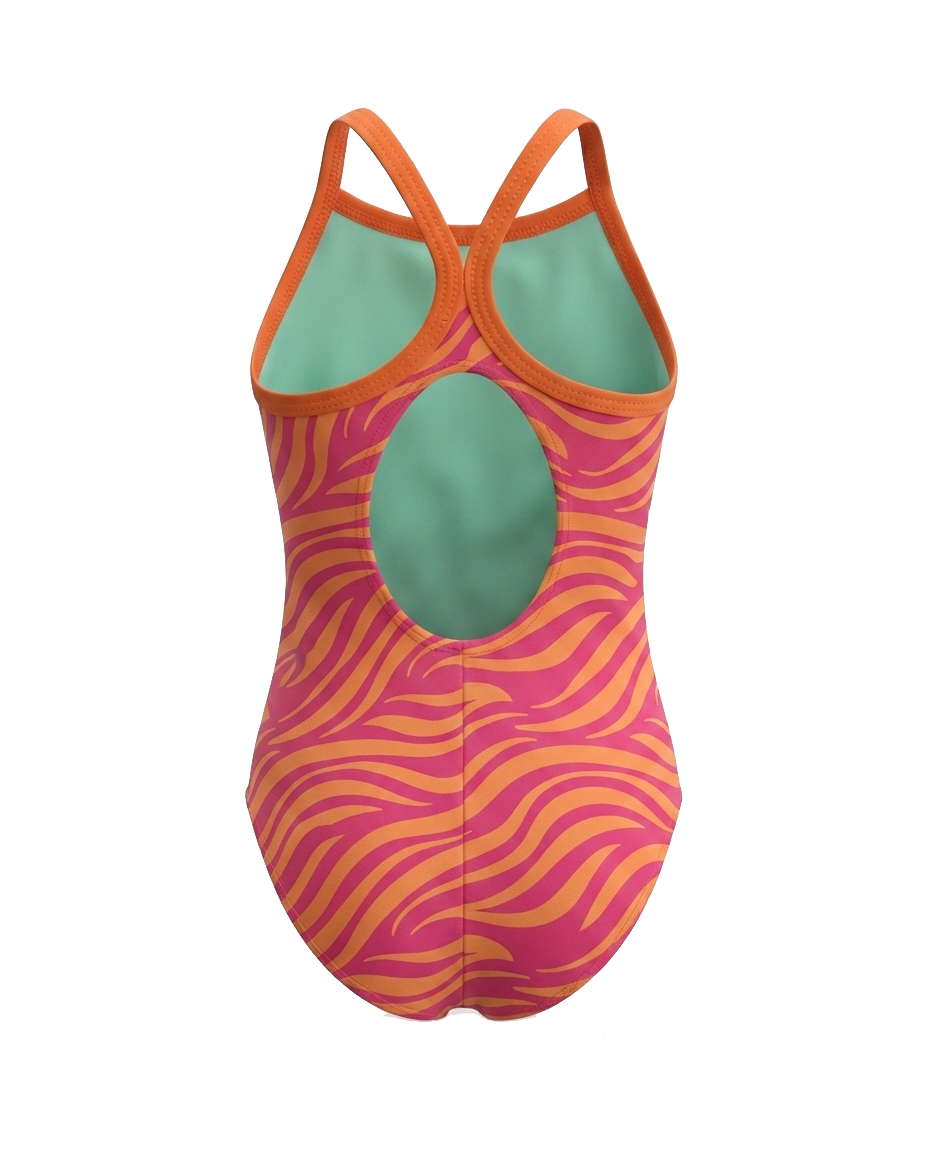 Sunset Zebra Baby