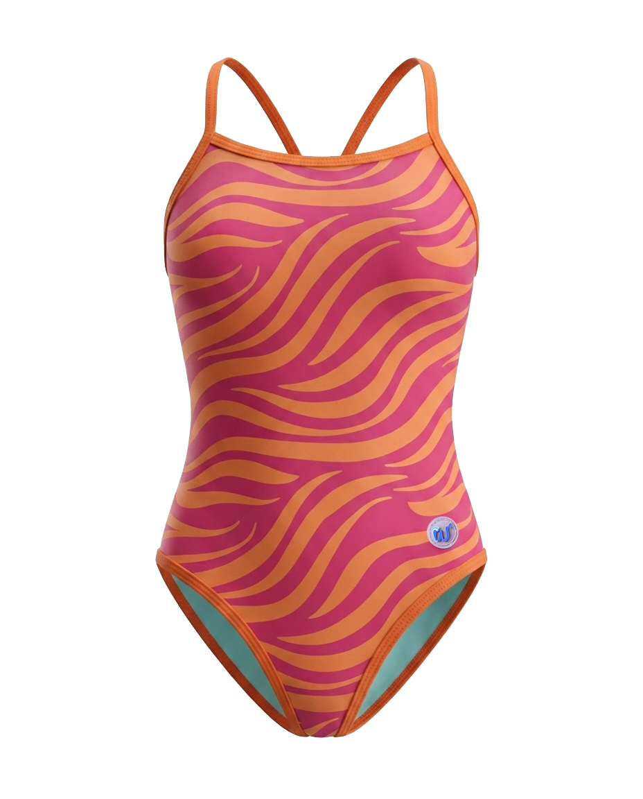 Sunset Zebra
