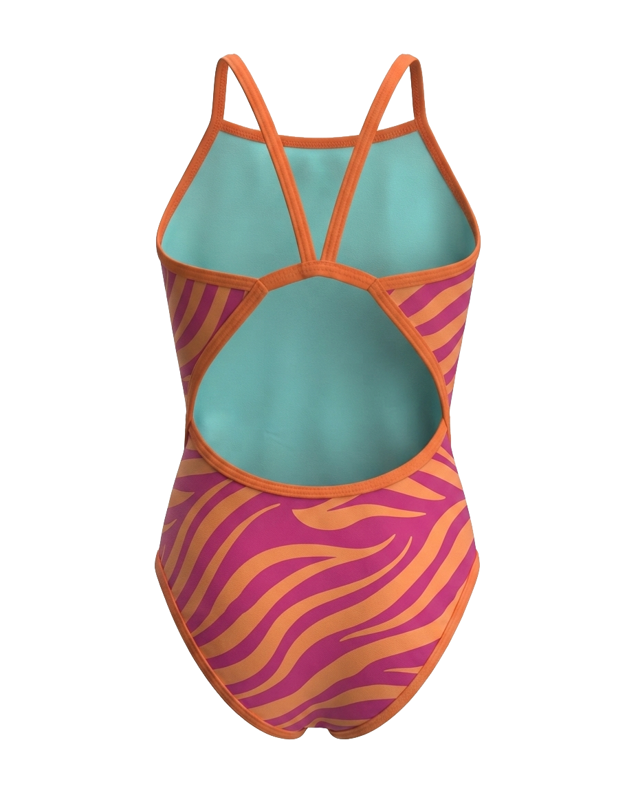 Sunset Zebra