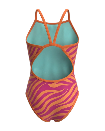 Sunset Zebra